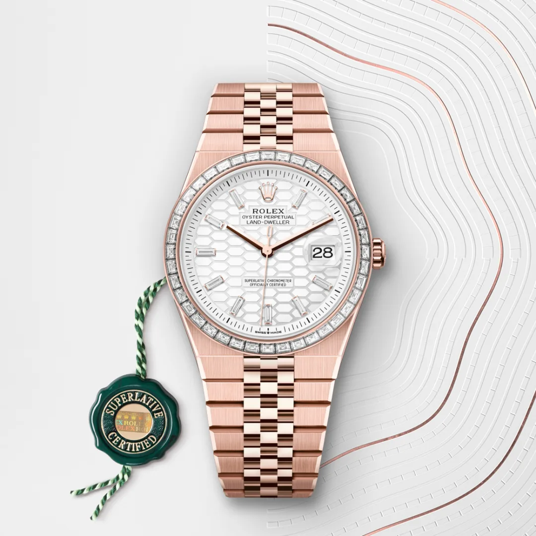 Rolex Land-Dweller m127385tbr-0003 reloj galeria